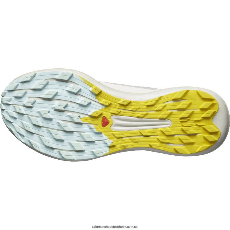 Salomon regnig dag/het sås/fresia Traillöparskor för män - pulsar trail pro 2 T82RP1437