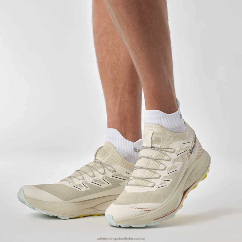 Salomon regnig dag/het sås/fresia Traillöparskor för män - pulsar trail pro 2 T82RP1437