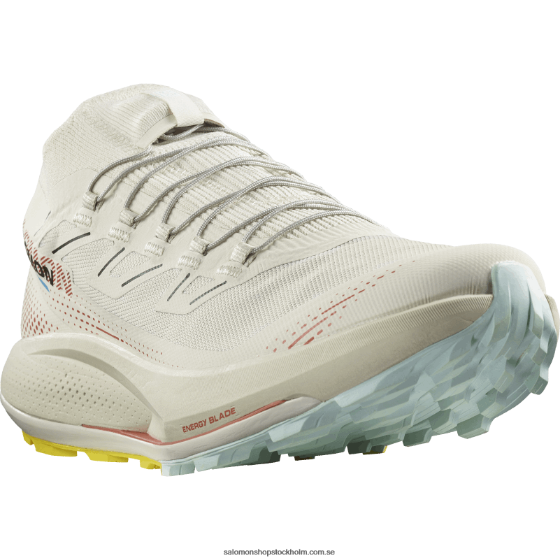 Salomon regnig dag/het sås/fresia Traillöparskor för män - pulsar trail pro 2 T82RP1437