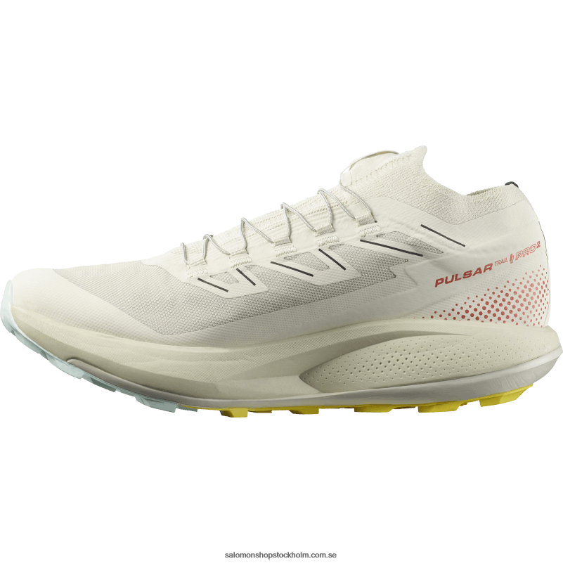 Salomon regnig dag/het sås/fresia Traillöparskor för män - pulsar trail pro 2 T82RP1437