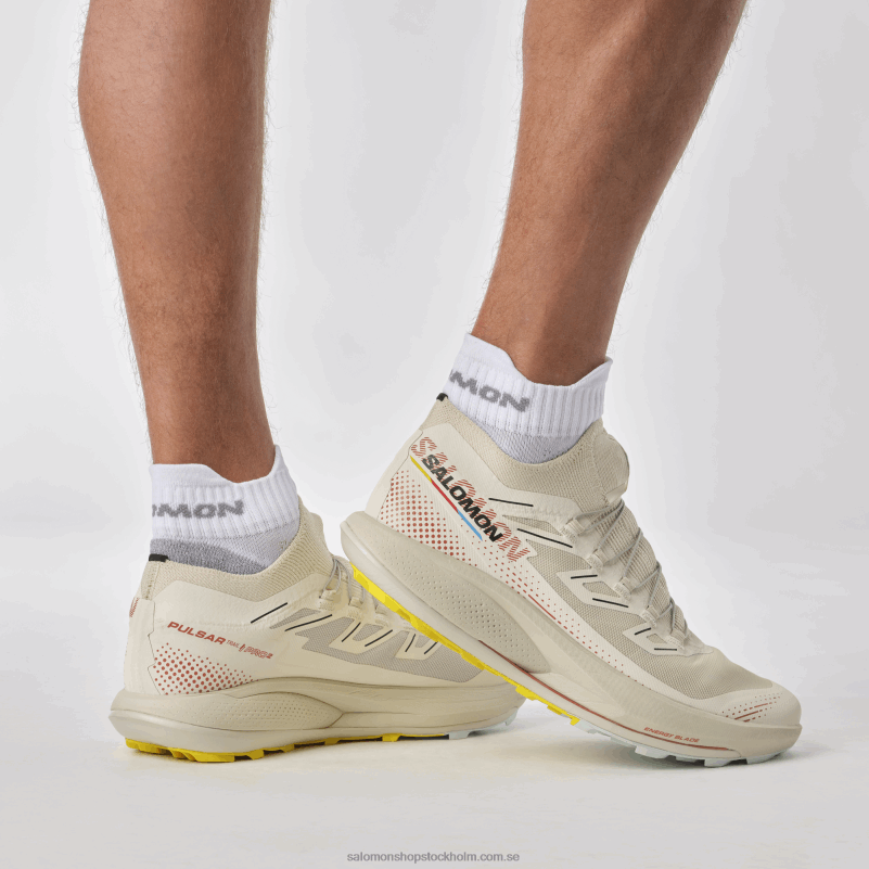 Salomon regnig dag/het sås/fresia Traillöparskor för män - pulsar trail pro 2 T82RP1437