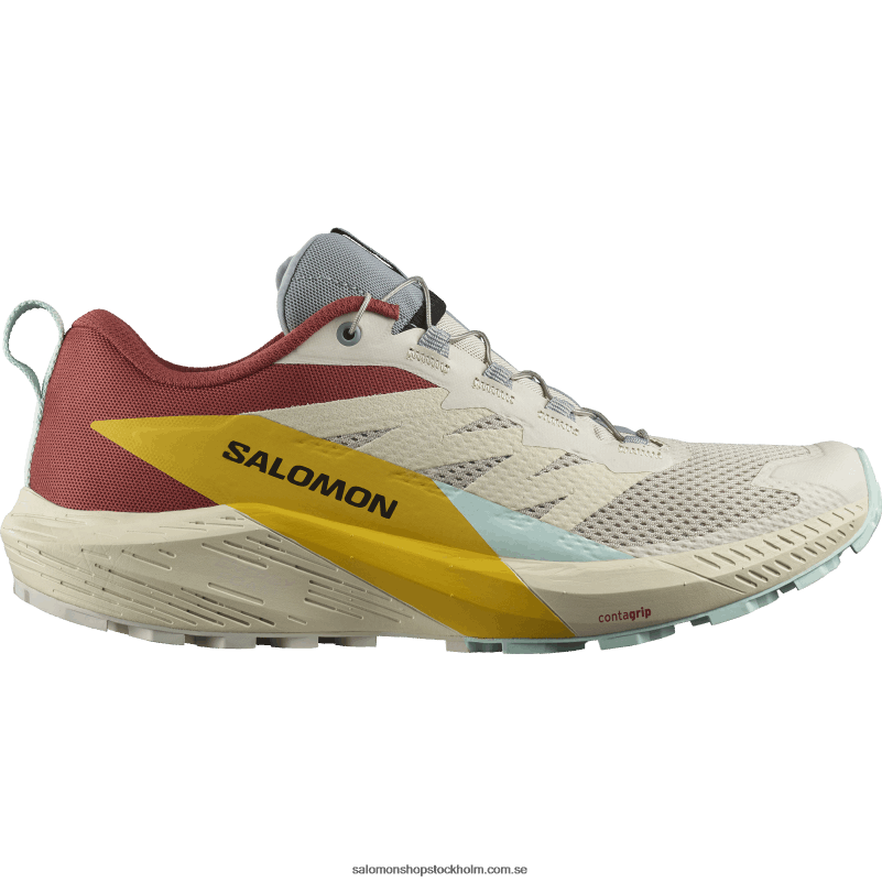 Salomon regnig dag/het sås/fresia traillöparskor för män - sense ride 5 T82RP1435