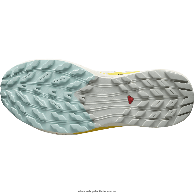 Salomon regnig dag/het sås/fresia traillöparskor för män - sense ride 5 T82RP1435