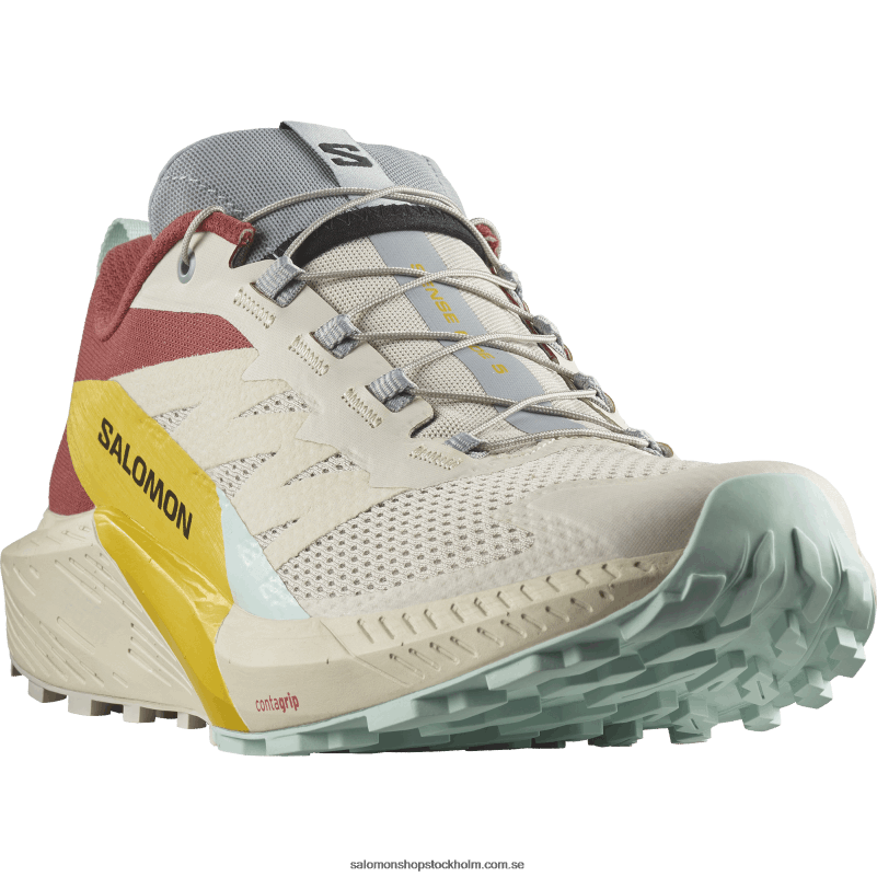 Salomon regnig dag/het sås/fresia traillöparskor för män - sense ride 5 T82RP1435
