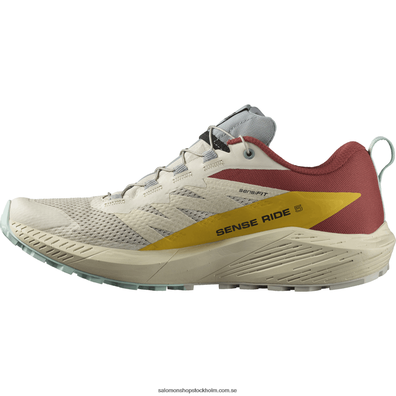Salomon regnig dag/het sås/fresia traillöparskor för män - sense ride 5 T82RP1435