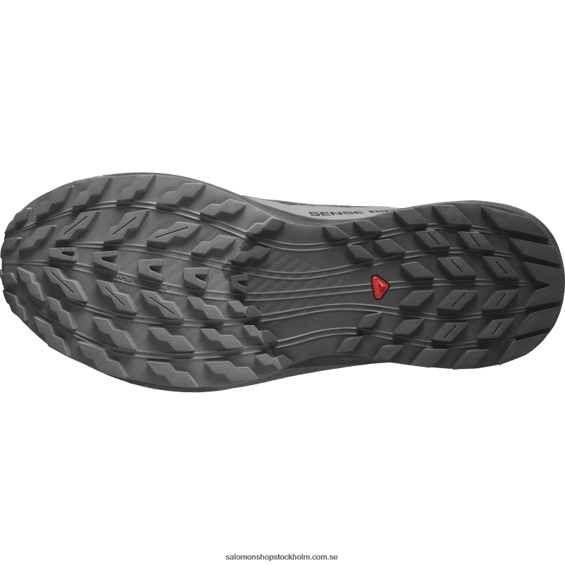 Salomon svart/magnet traillöparskor för män - sense ride 5 gore-tex T82RP1444