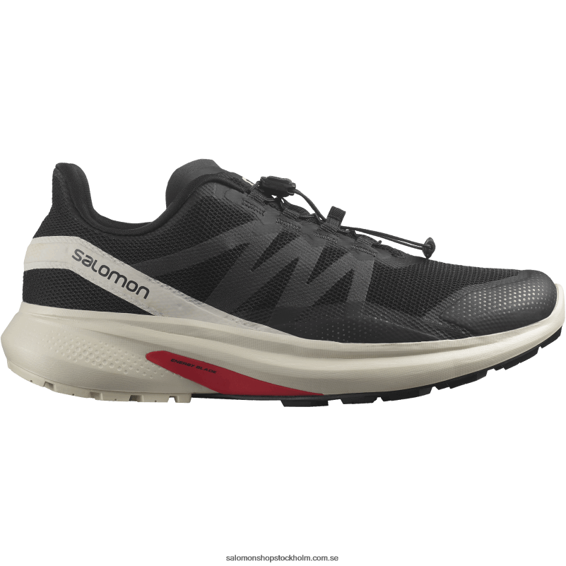 Salomon svart/regnig dag mäns traillöparskor - hypuls T82RP1485