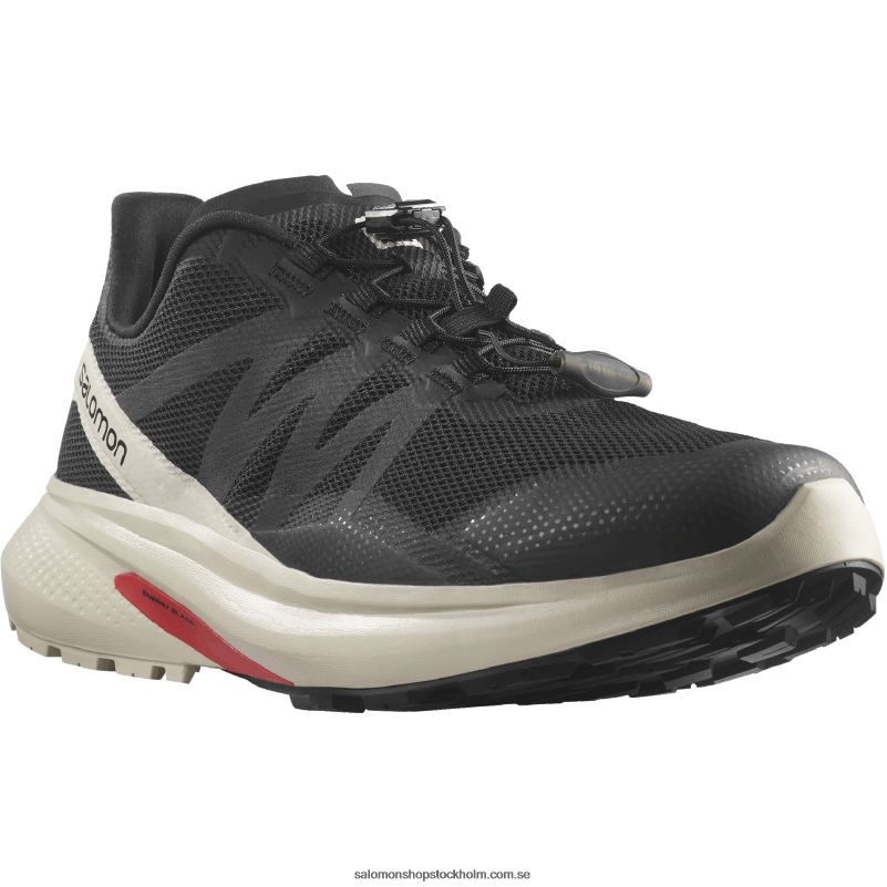Salomon svart/regnig dag mäns traillöparskor - hypuls T82RP1485