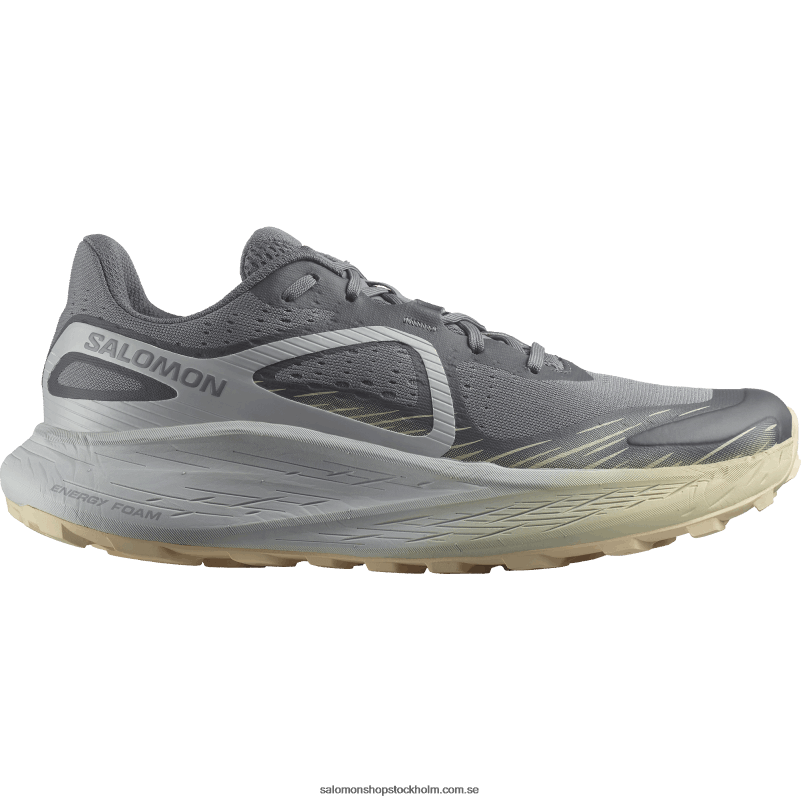 Salomon tyst nyans/pärlblå/blekt sand herrlöparskor - glide max tr T82RP1449