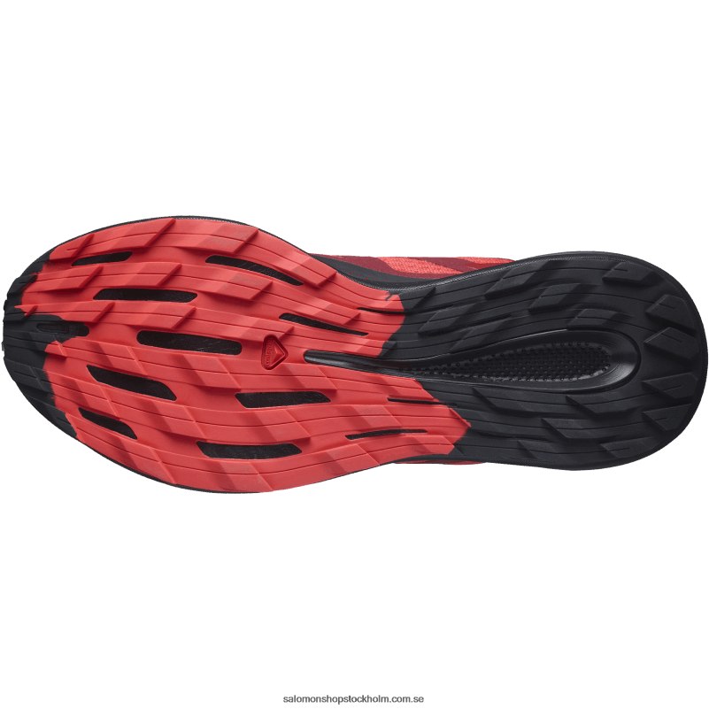 Salomon vallmoröd/cykelröd/svart trail löparskor för män - pulsar trail T82RP1463