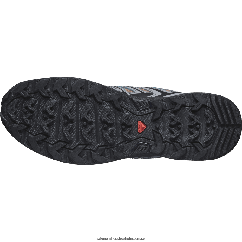 Salomon kola/lugn nyans/gräsandblå vandringsskor för män - x ultra pioneer aero T82RP20