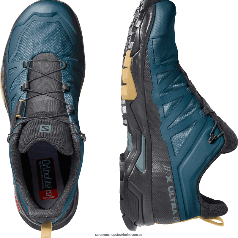 Salomon legion blå/svart/fall löv vandringsskor för män - x ultra 4 gore-tex T82RP17