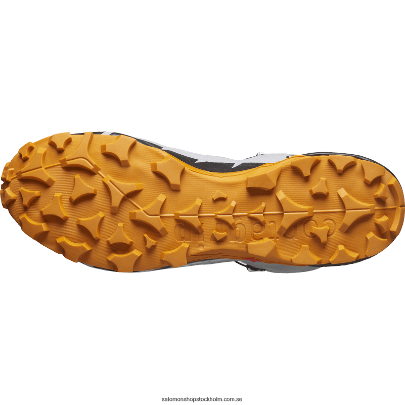 Salomon mås/marmelad/svart vandringskängor för män - cross hike 2 mid gore-tex T82RP37