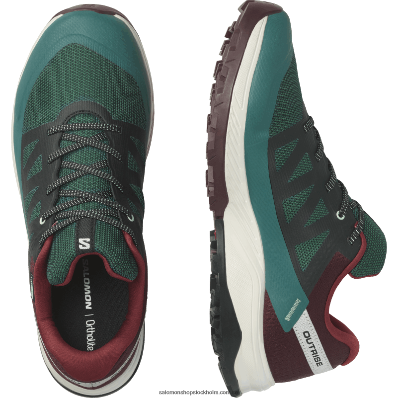 Salomon ponderosa tall/bitter choklad/vaniljglass vandringsskor för män - outrise clima vattentät T82RP55