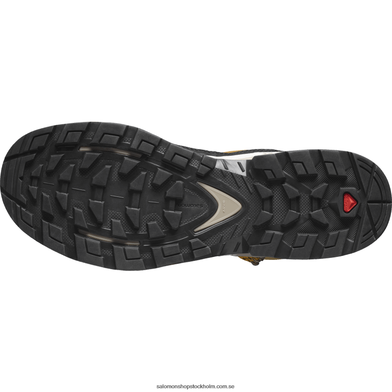Salomon spiskummin/blekt sand/saffran vandringskängor i läder för män - quest element gore-tex T82RP50
