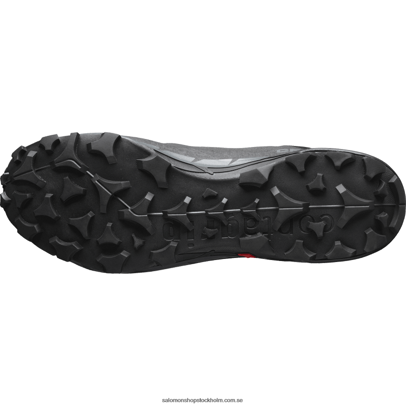 Salomon svart/magnet vandringskängor för män - cross hike 2 mid gore-tex T82RP36