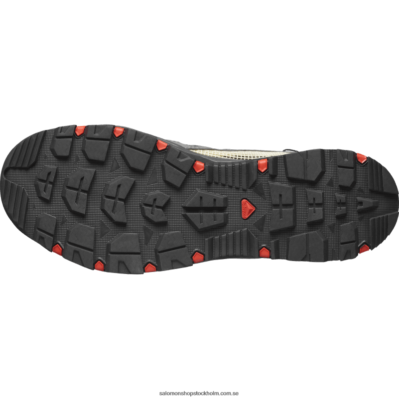 Salomon tenn/mal/eldröd vattenskor för män - techamphibian 5 T82RP3