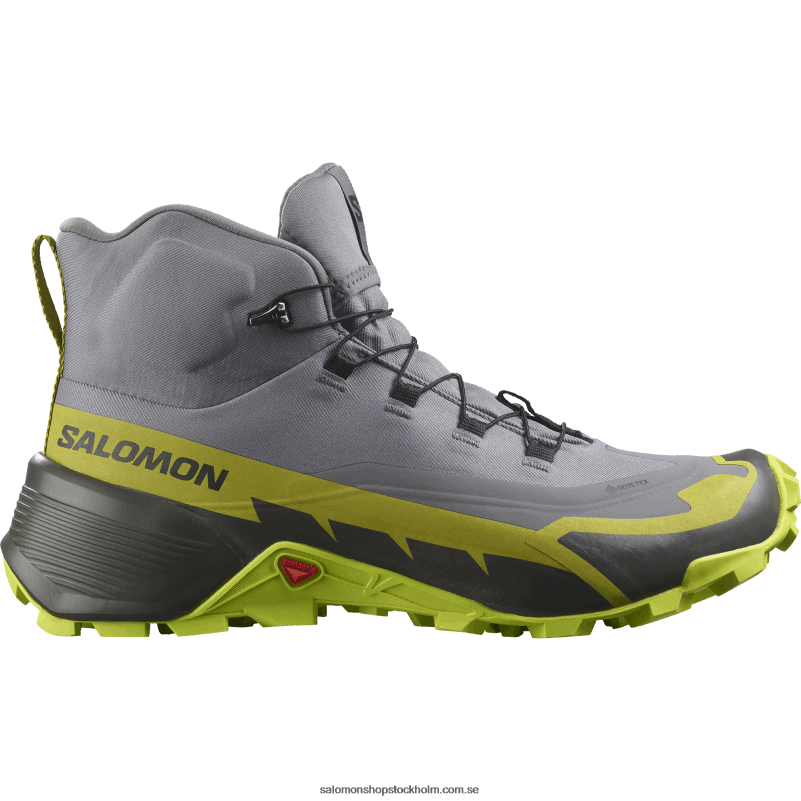 Salomon tyst nyans/sur kalk/guld kalk vandringskängor för män - cross hike 2 mid gore-tex T82RP35