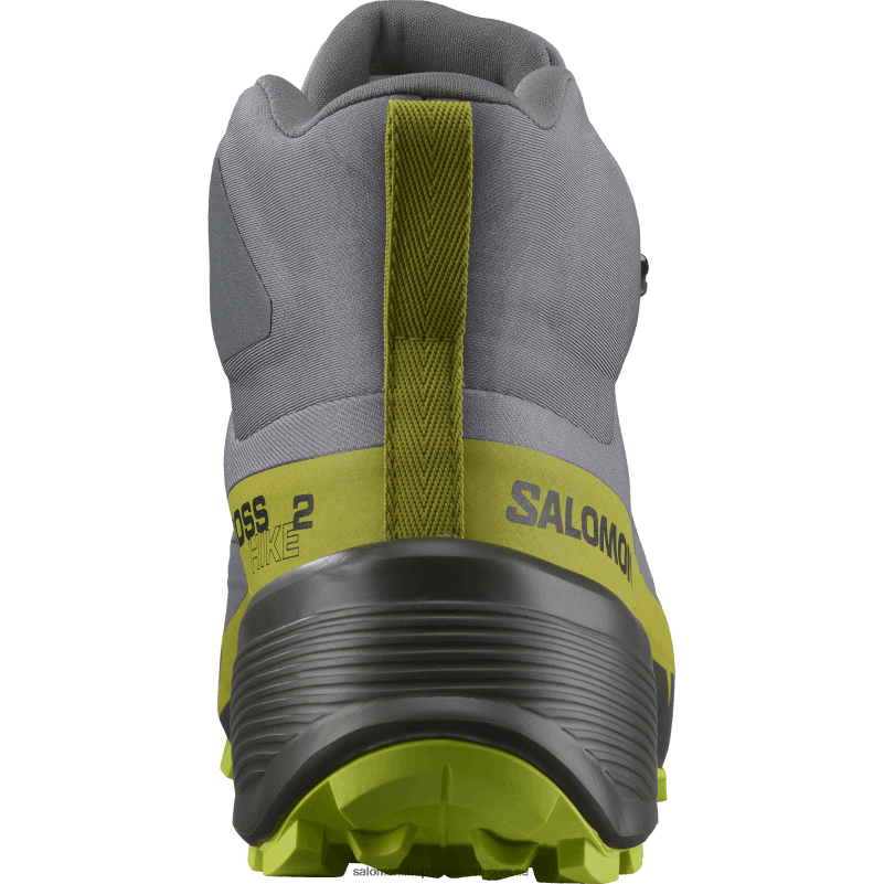 Salomon tyst nyans/sur kalk/guld kalk vandringskängor för män - cross hike 2 mid gore-tex T82RP35