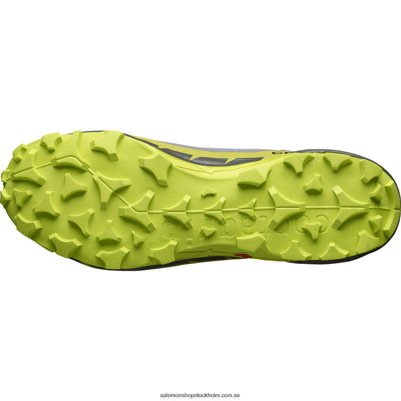 Salomon tyst nyans/sur kalk/guld kalk vandringskängor för män - cross hike 2 mid gore-tex T82RP35