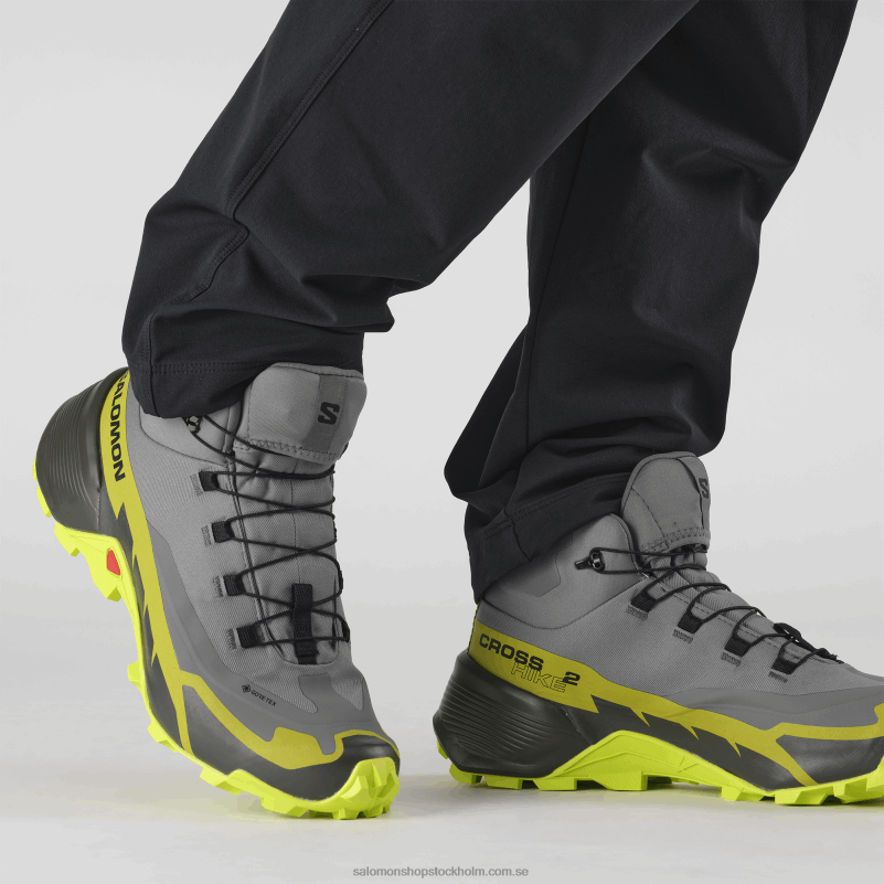 Salomon tyst nyans/sur kalk/guld kalk vandringskängor för män - cross hike 2 mid gore-tex T82RP35