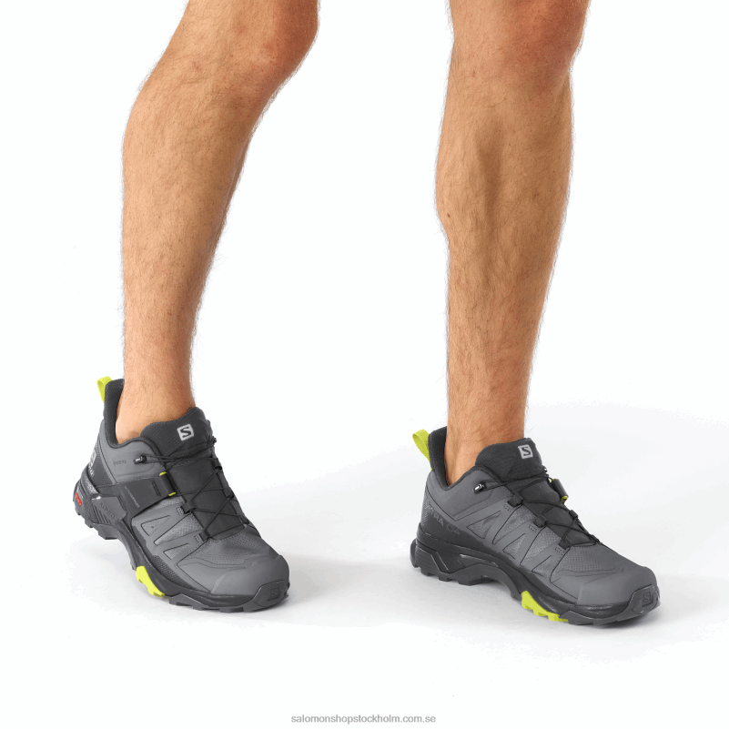 Salomon tyst nyans/svart/nattljus vandringsskor för män - x ultra 4 gore-tex T82RP14