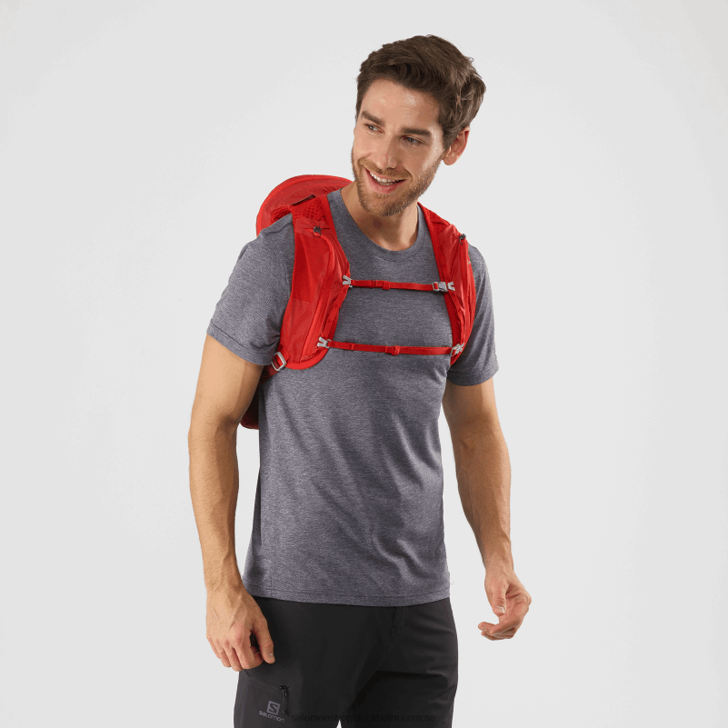 Salomon gojibär/madderbrun vandringsväska för män - xt 10 T82RP1207