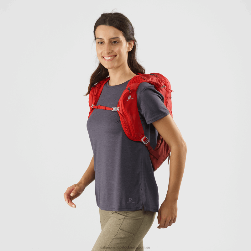 Salomon gojibär/madderbrun vandringsväska för män - xt 10 T82RP1207