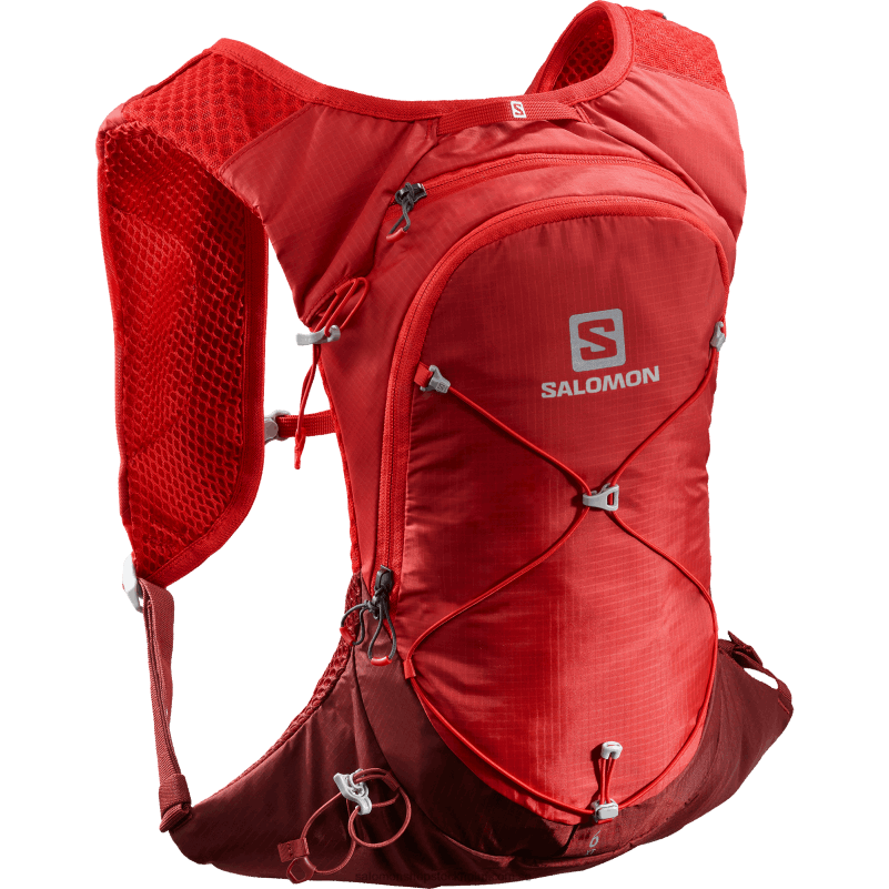 Salomon gojibär/madderbrun vandringsväska för män - xt 6 T82RP381