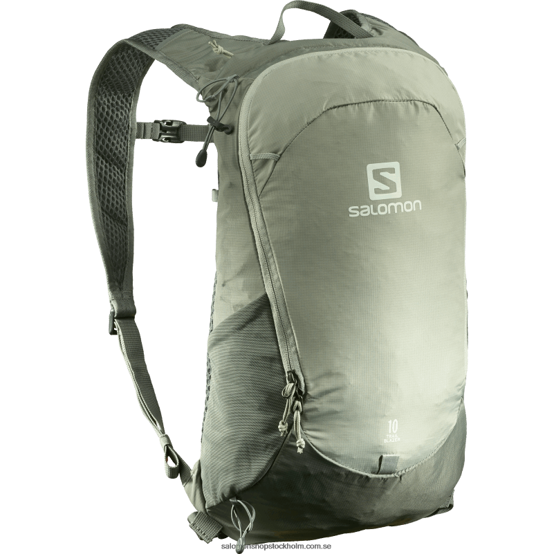 Salomon smidesjärn/sedona salvia vardagsväska för män - banbrytare 10 T82RP364