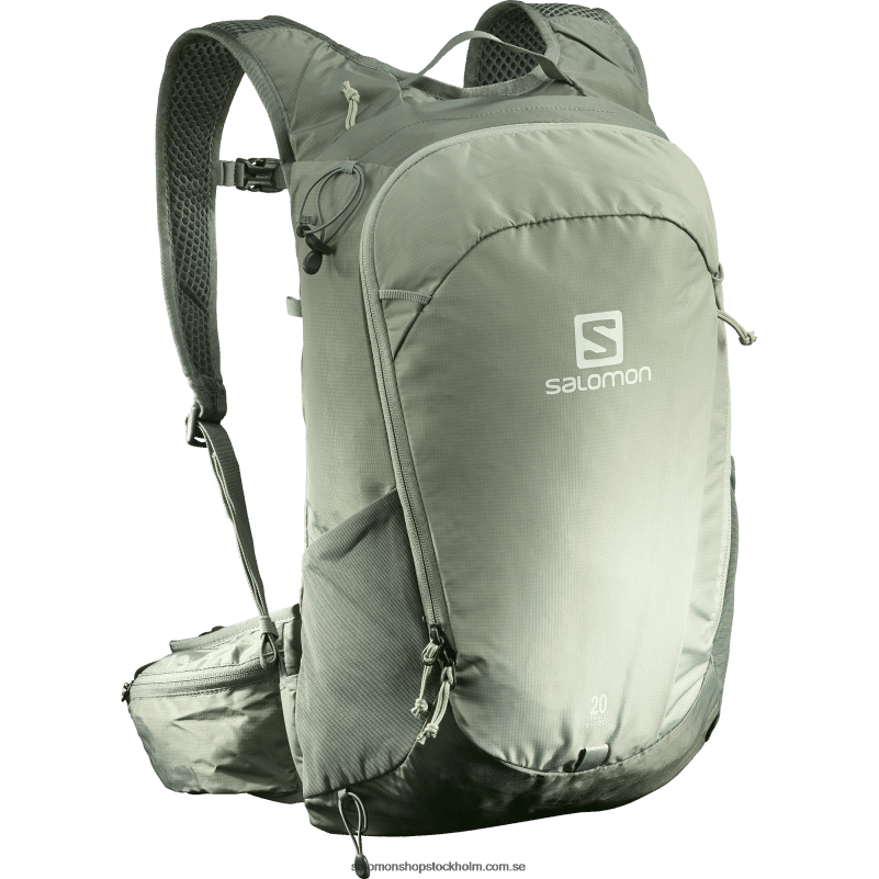 Salomon smidesjärn/sedona salvia vardagsväska för män - banbrytare 20 T82RP373