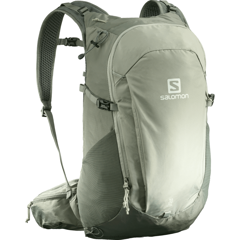 Salomon smidesjärn/sedona salvia vardagsväska för män - banbrytare 30 T82RP368